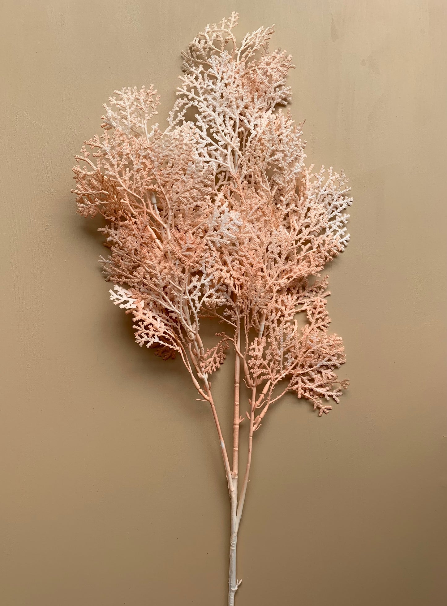 Faux Fern Coral