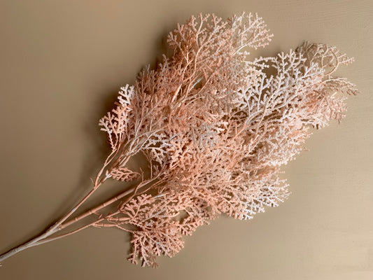 Faux Fern Coral