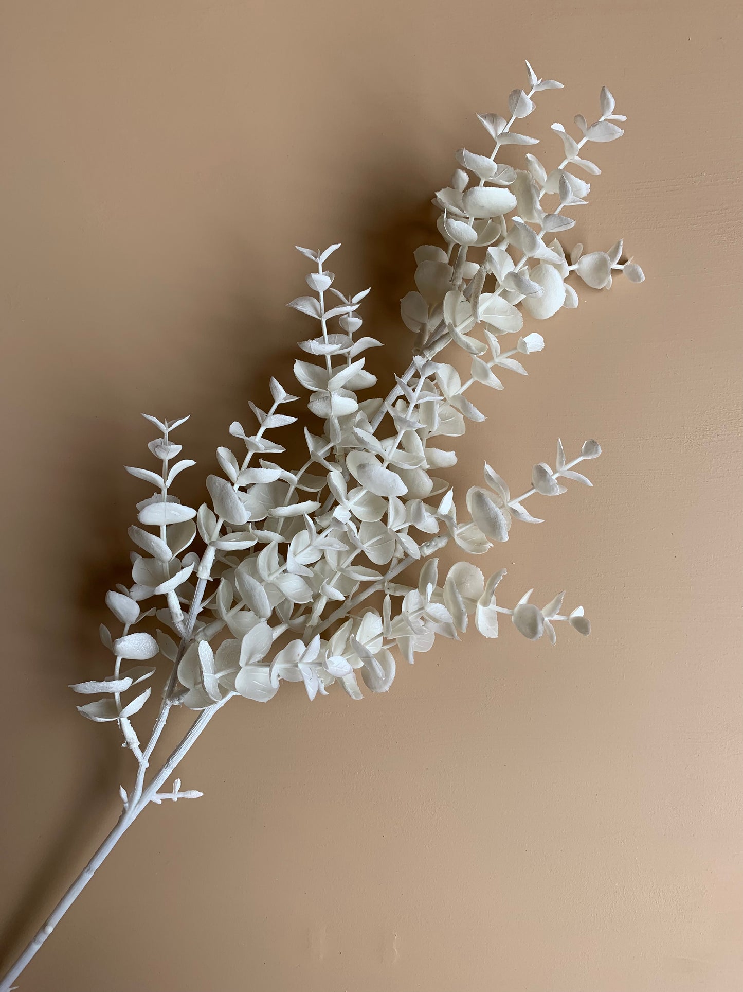 Faux Eucalyptus