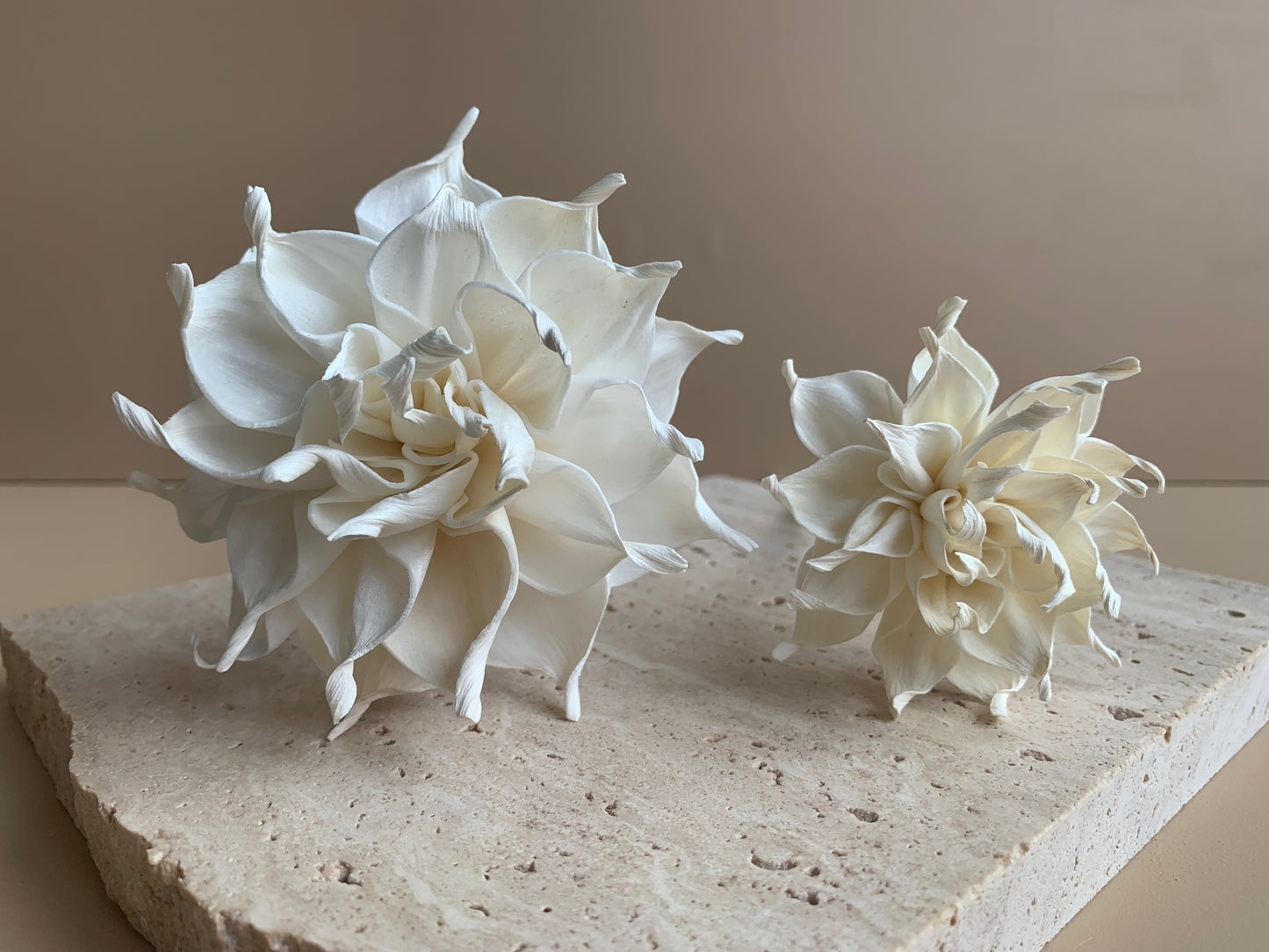 Dahlia Cafe Au Lait