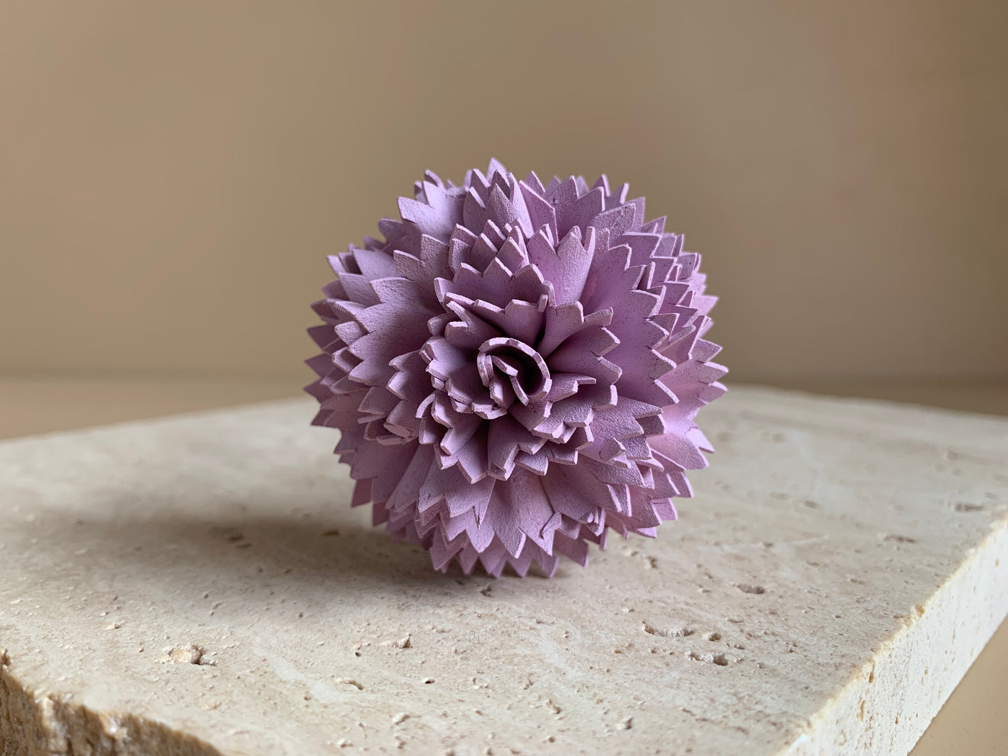 Carnation Coloured