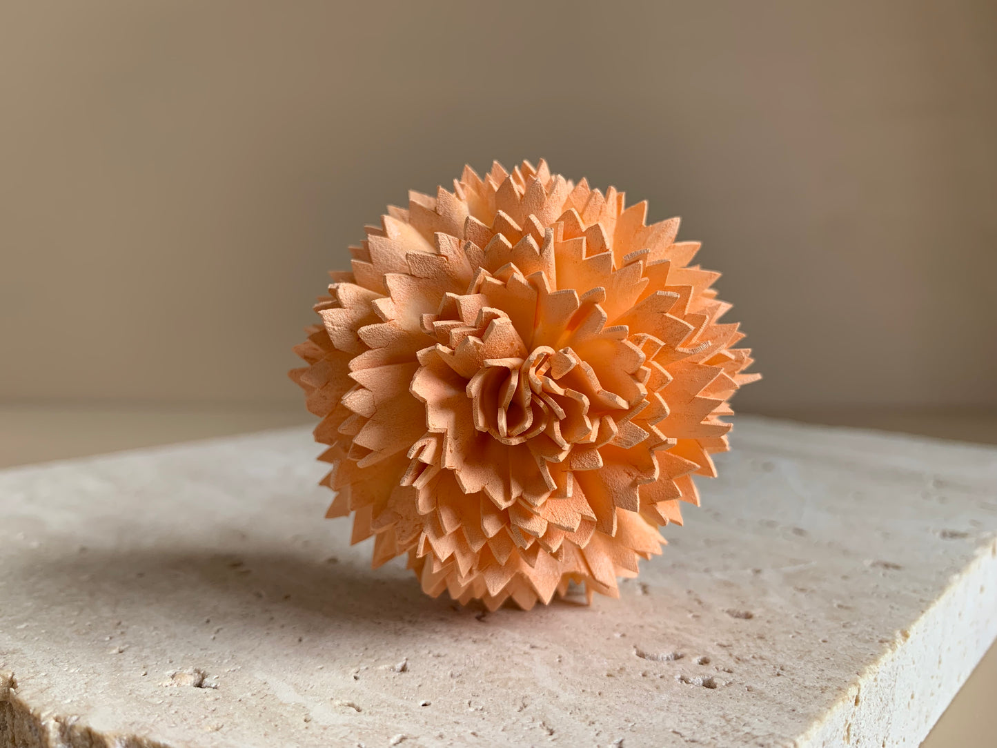 Carnation Coloured