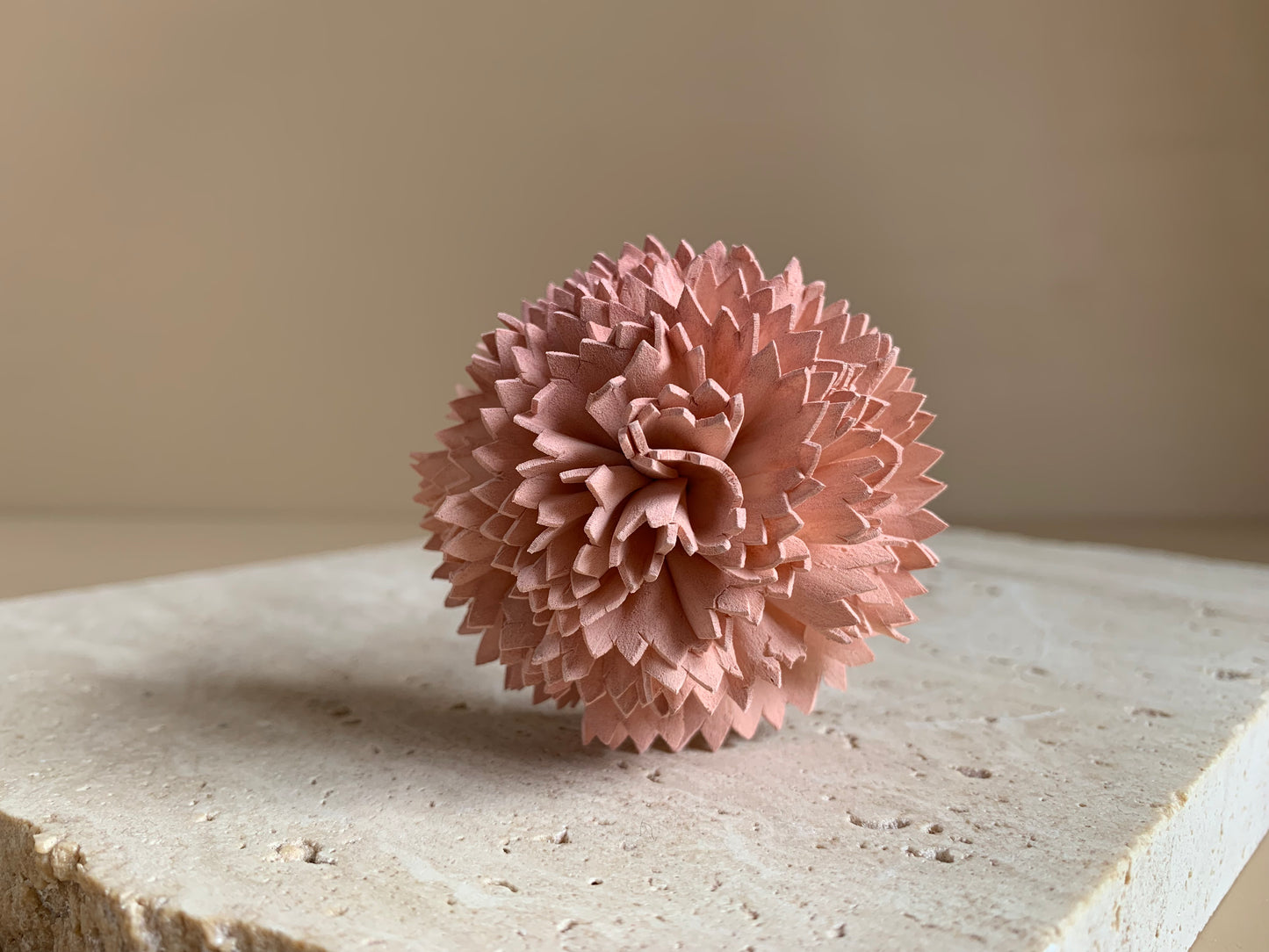 Carnation Coloured