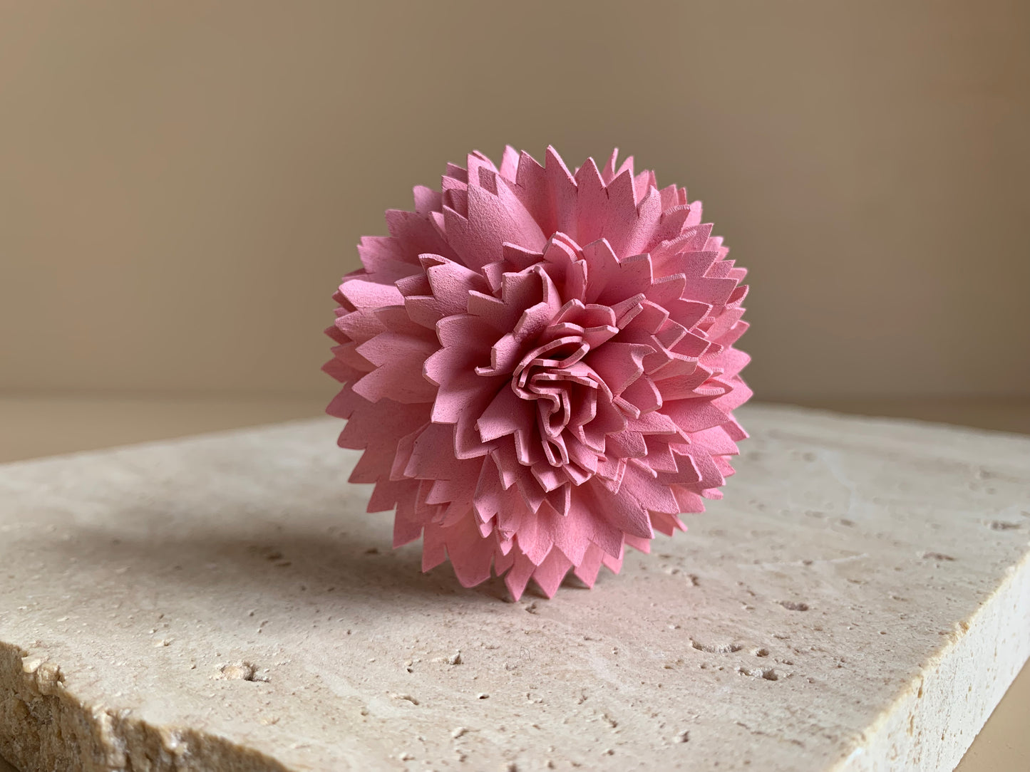 Carnation Coloured