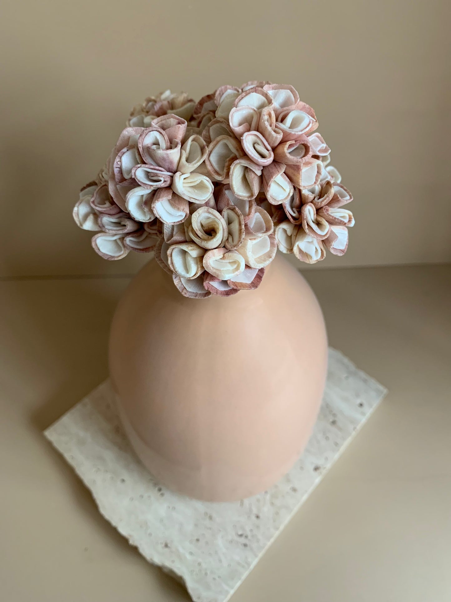 Dahlia Pink/White