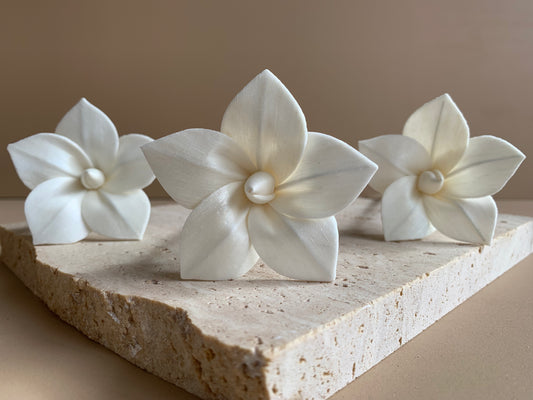 Frangipani