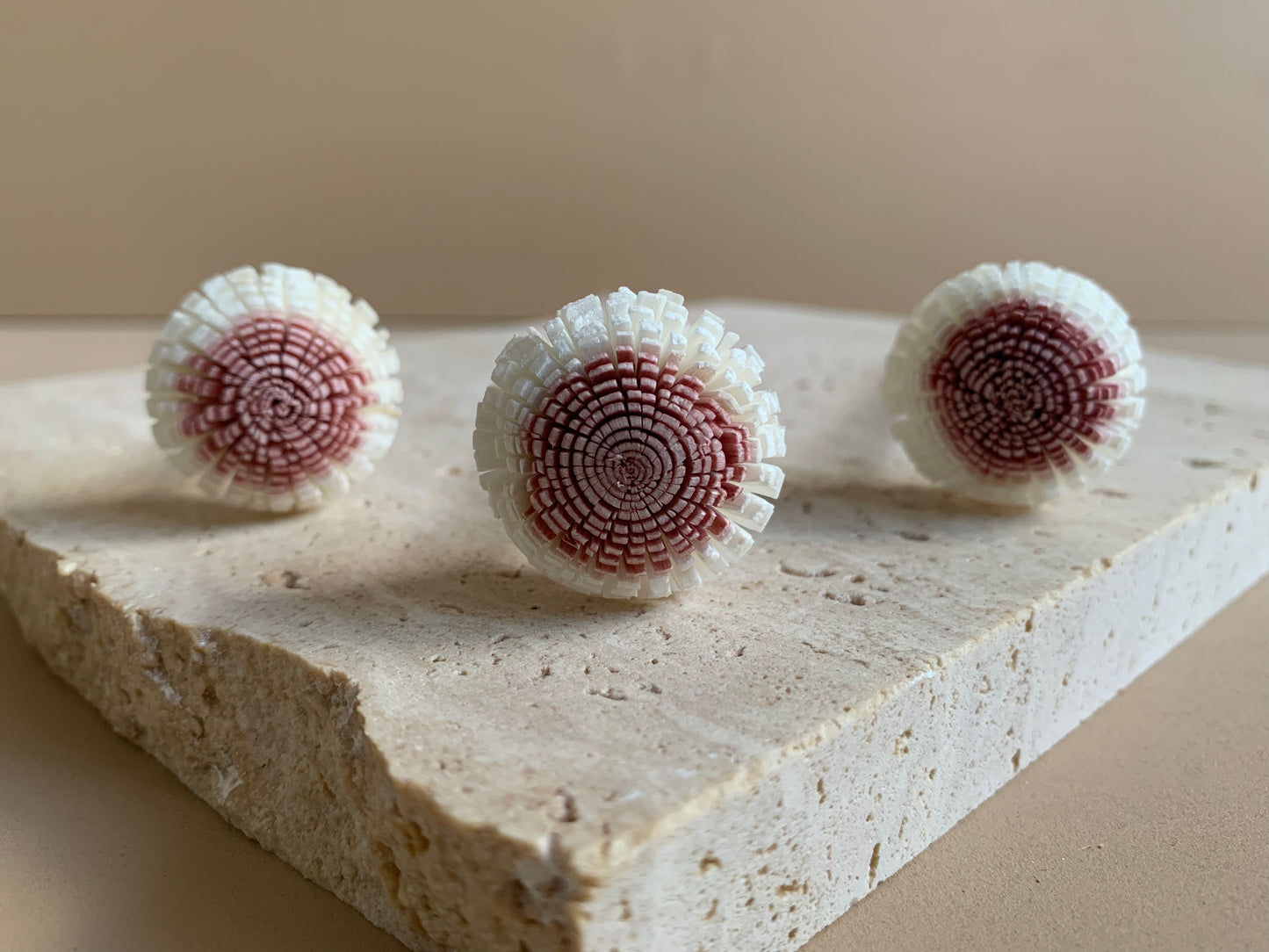 *SALE* Globe Amaranth