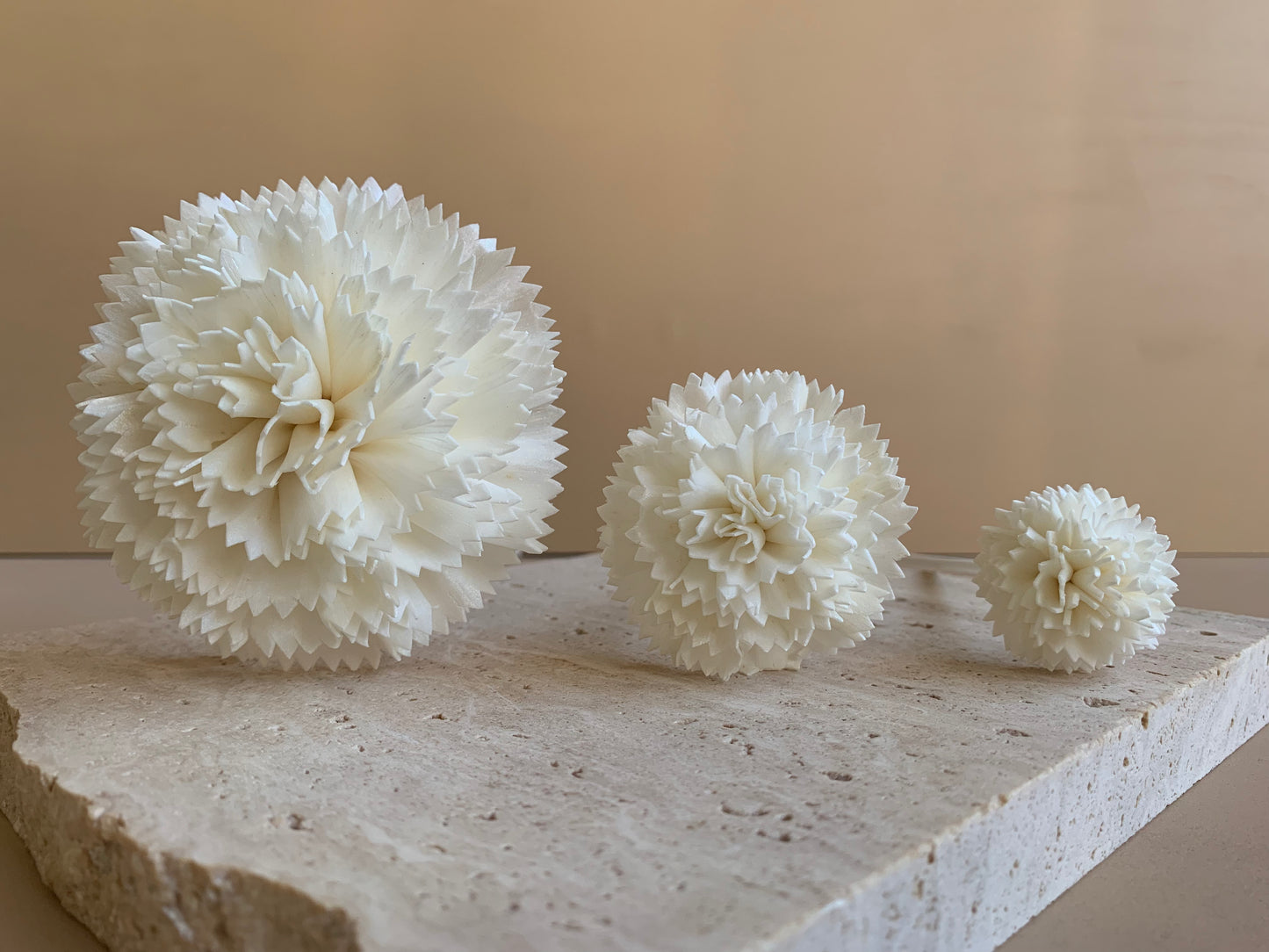 Carnation White