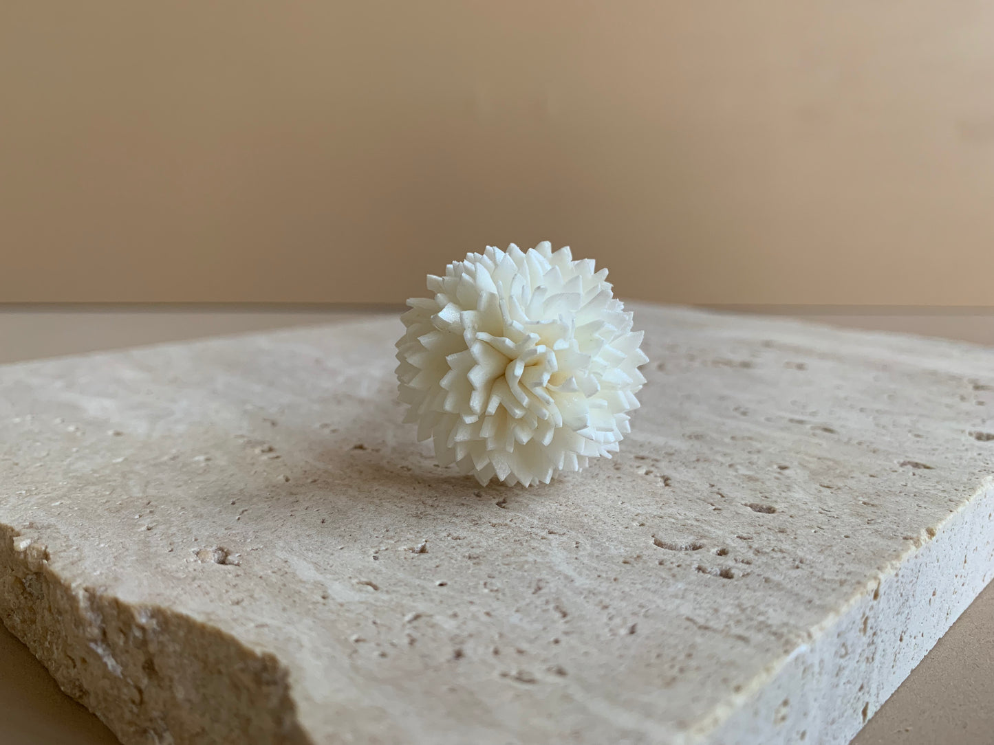 Carnation White