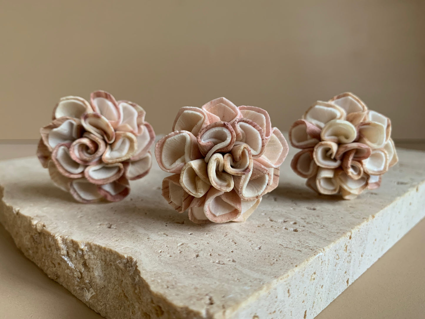 Dahlia Pink/White