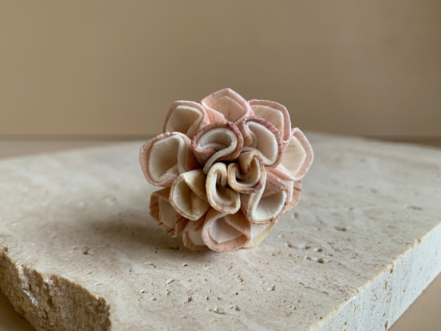 Dahlia Pink/White