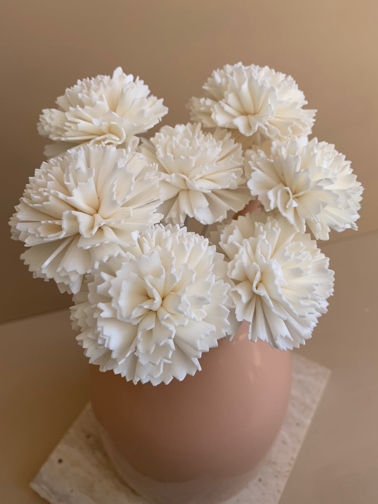 Carnation White