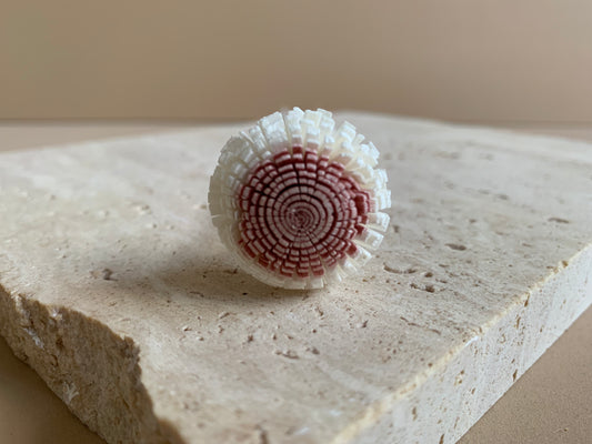 *SALE* Globe Amaranth