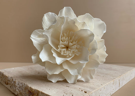 *SALE* Wild Rose with Pollen