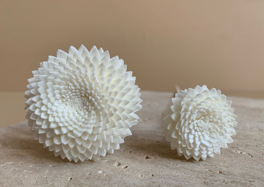 white chrysanthemums 5cm 3cm