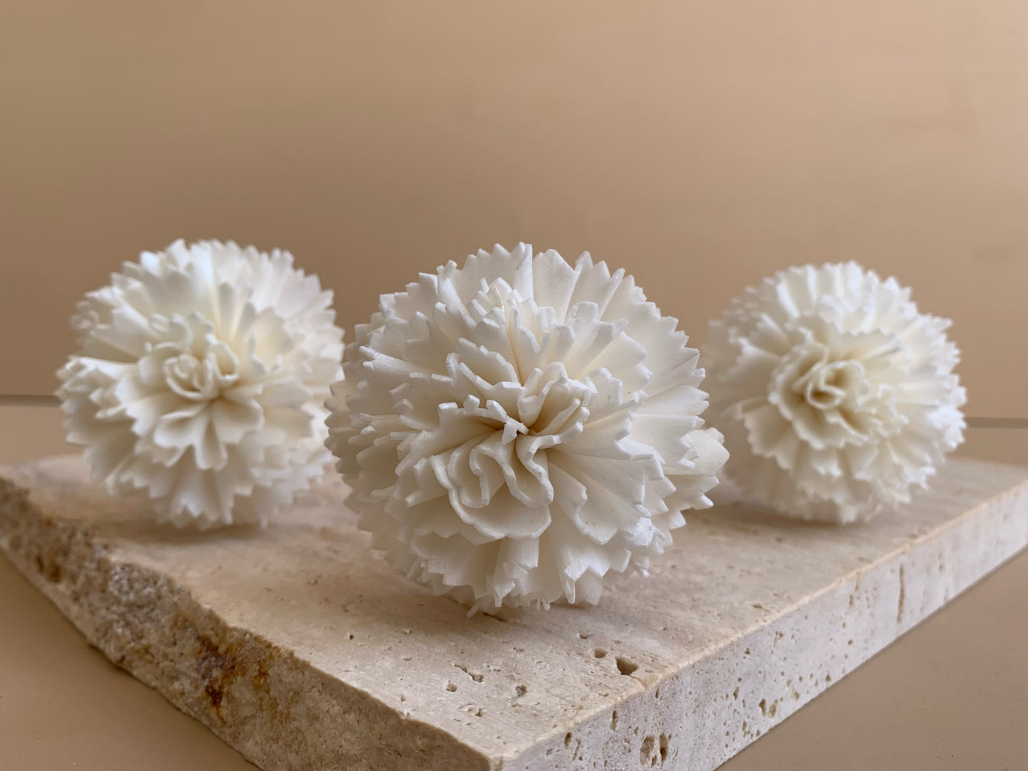 Carnation White