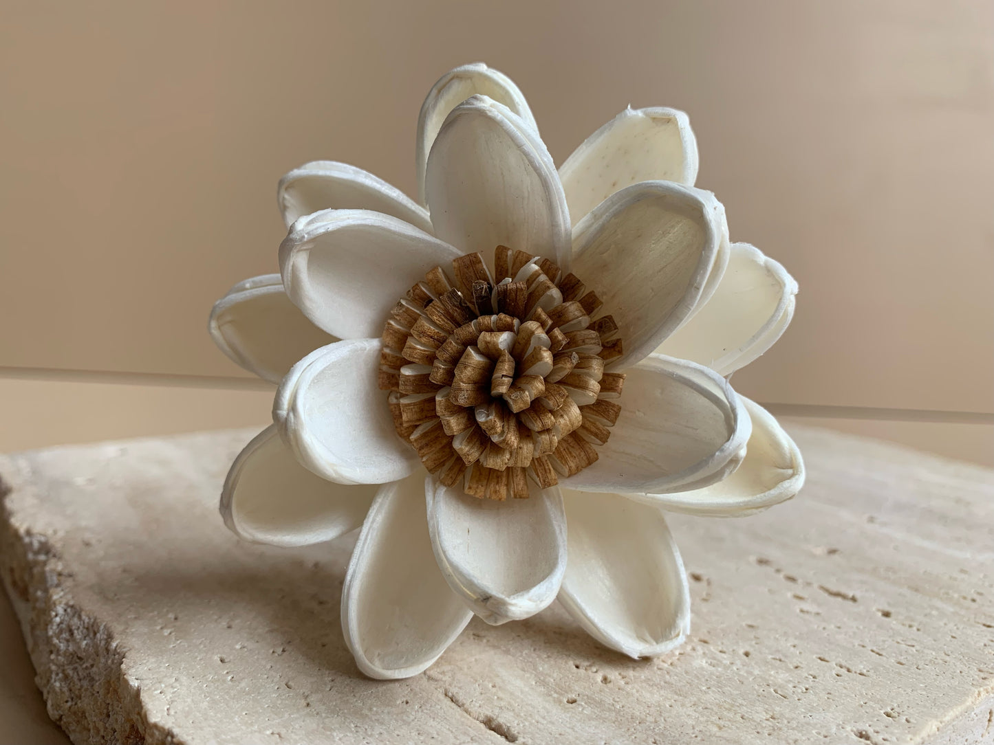 Brown Pollen Lotus