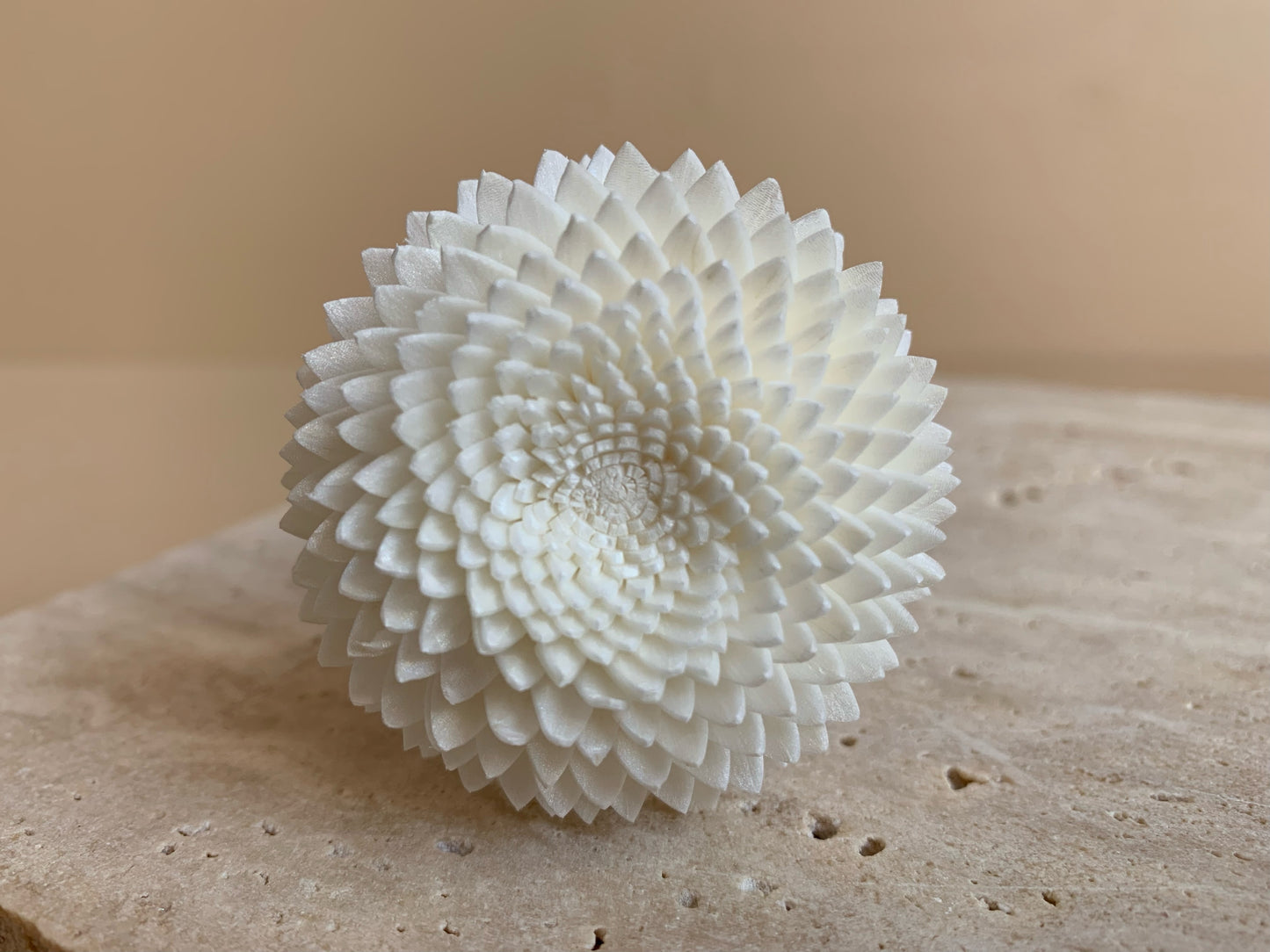 gorgeous white sola wood chrysanthemum