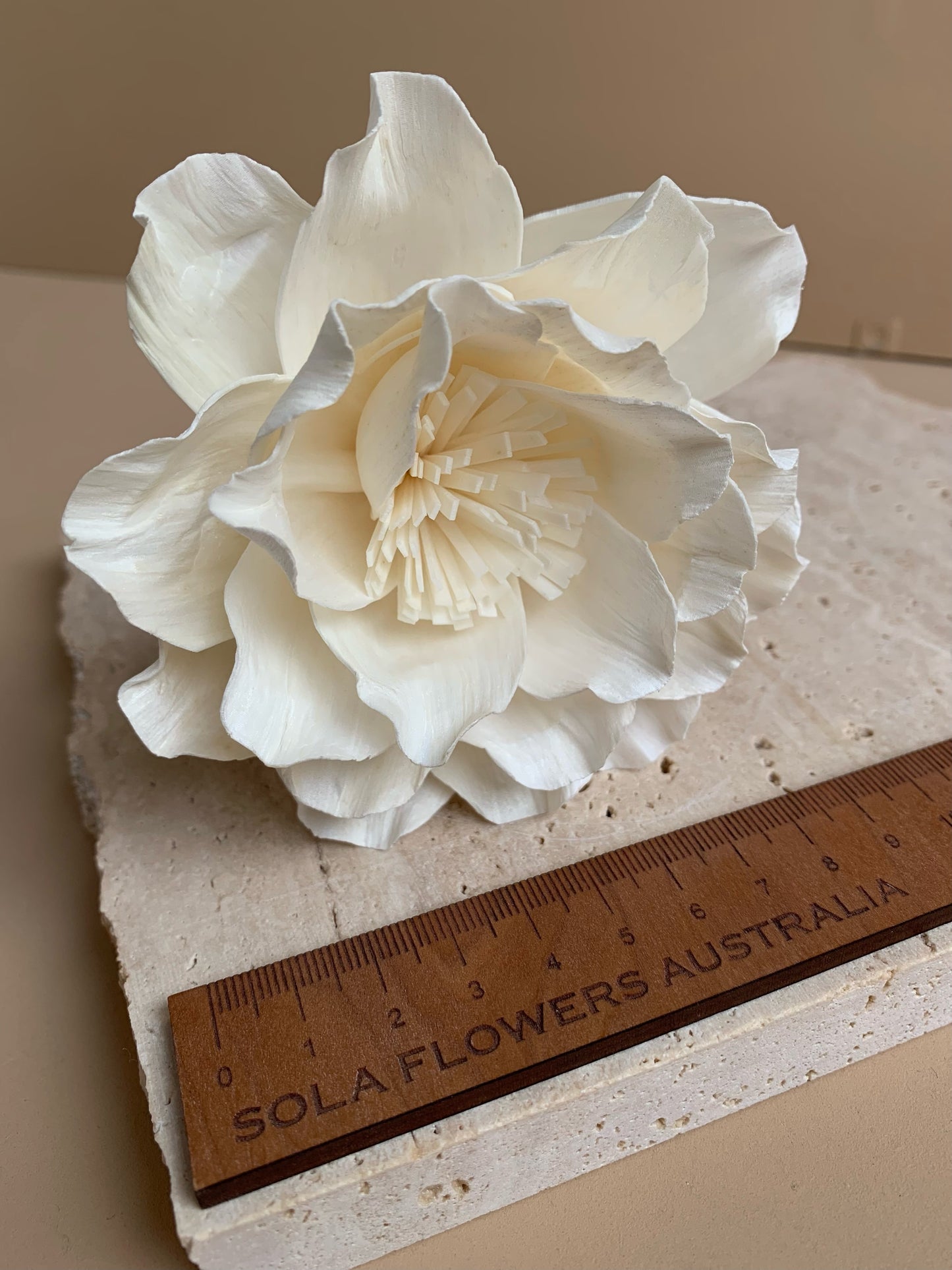 Wild Rose with Pollen