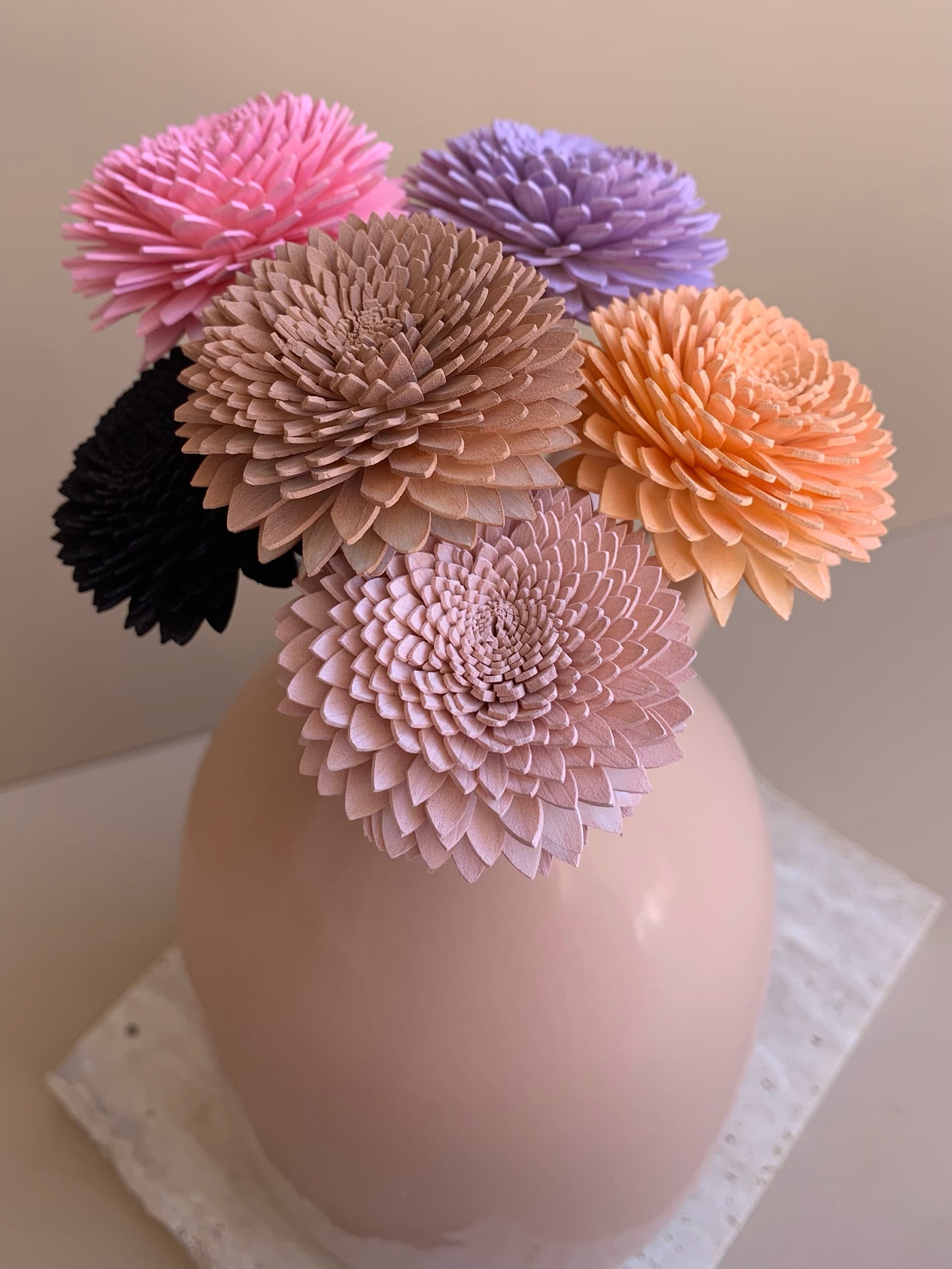 Chrysanthemum Coloured