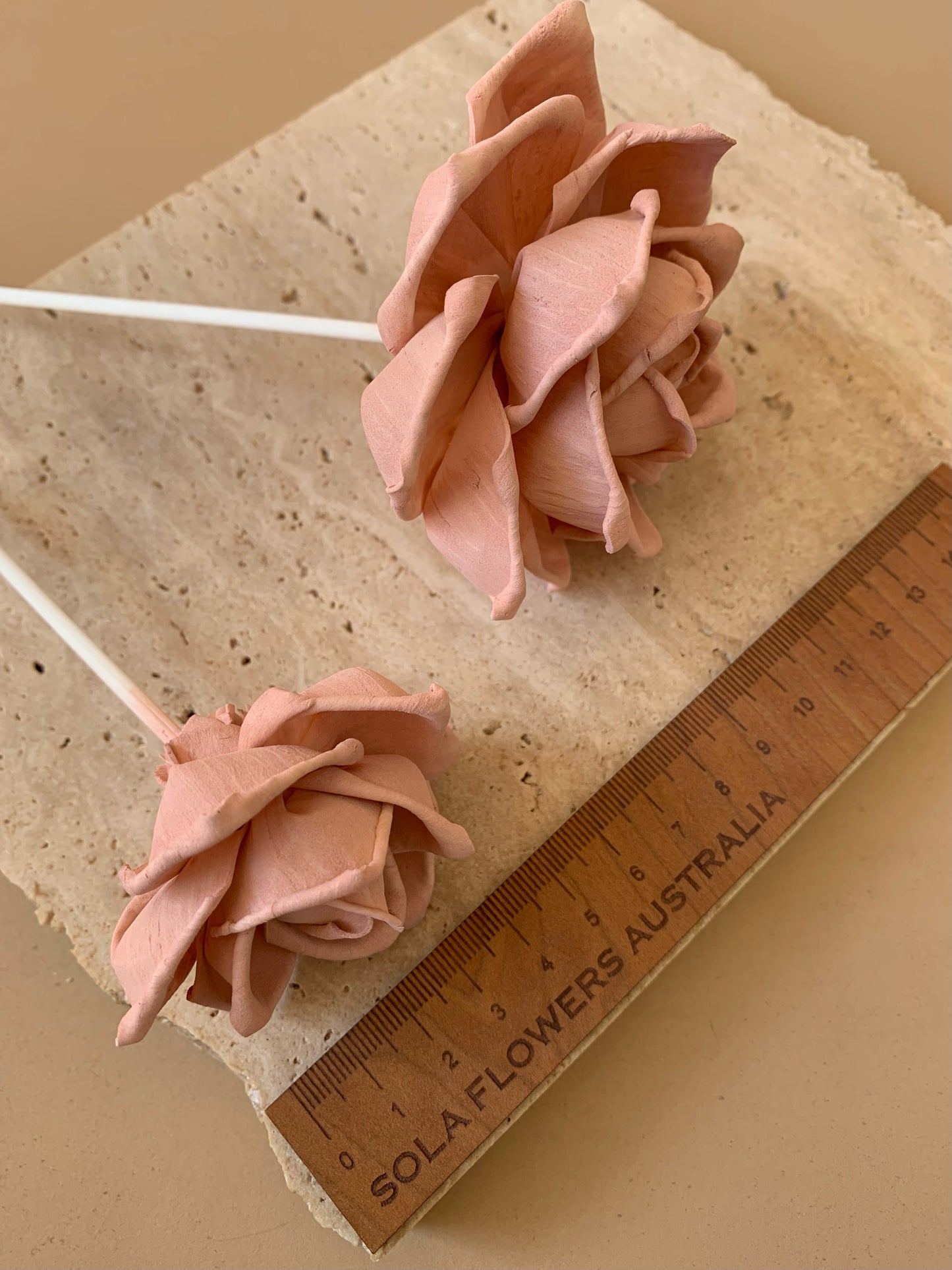 Quicksand Rose Blush