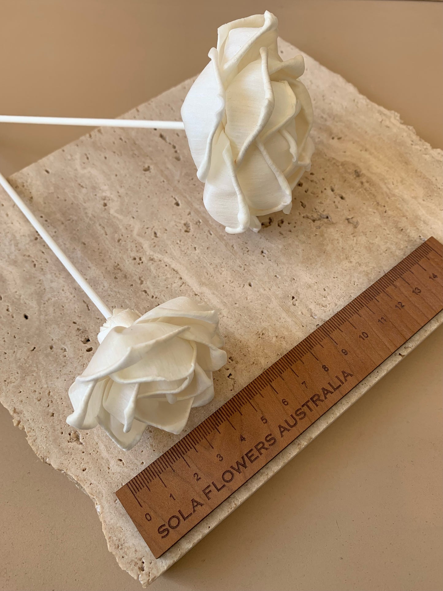 Quicksand Rose White