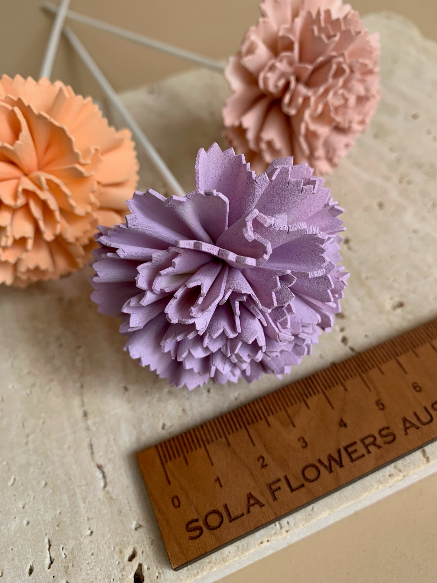 Carnation Coloured