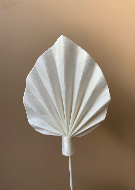 *SALE* Palm Spear White