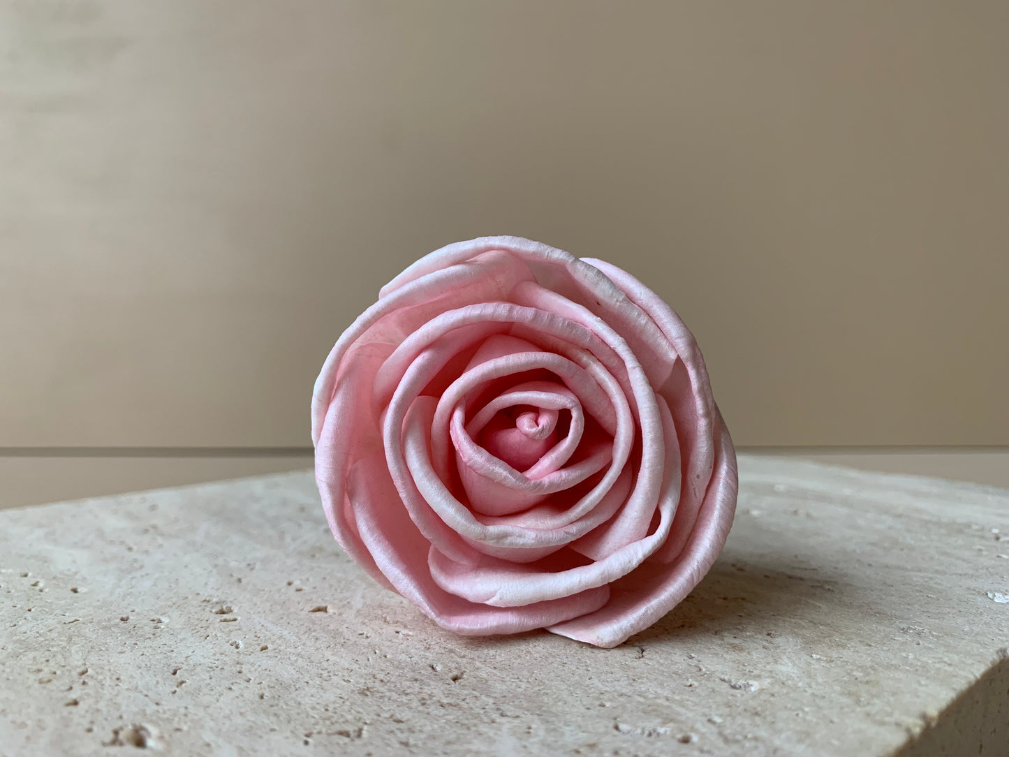 Cottage Rose Soft Pink