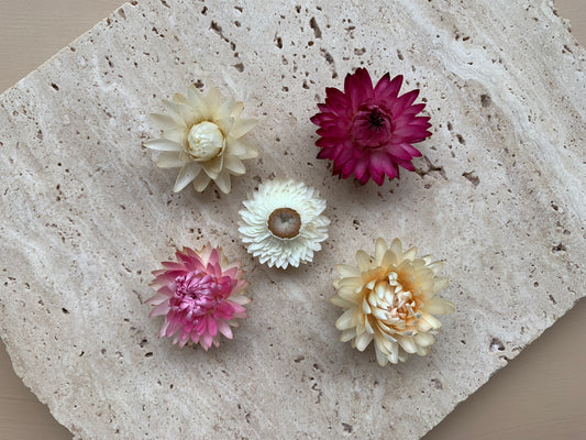 Dried Strawflowers