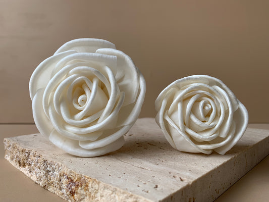 Cottage Rose White