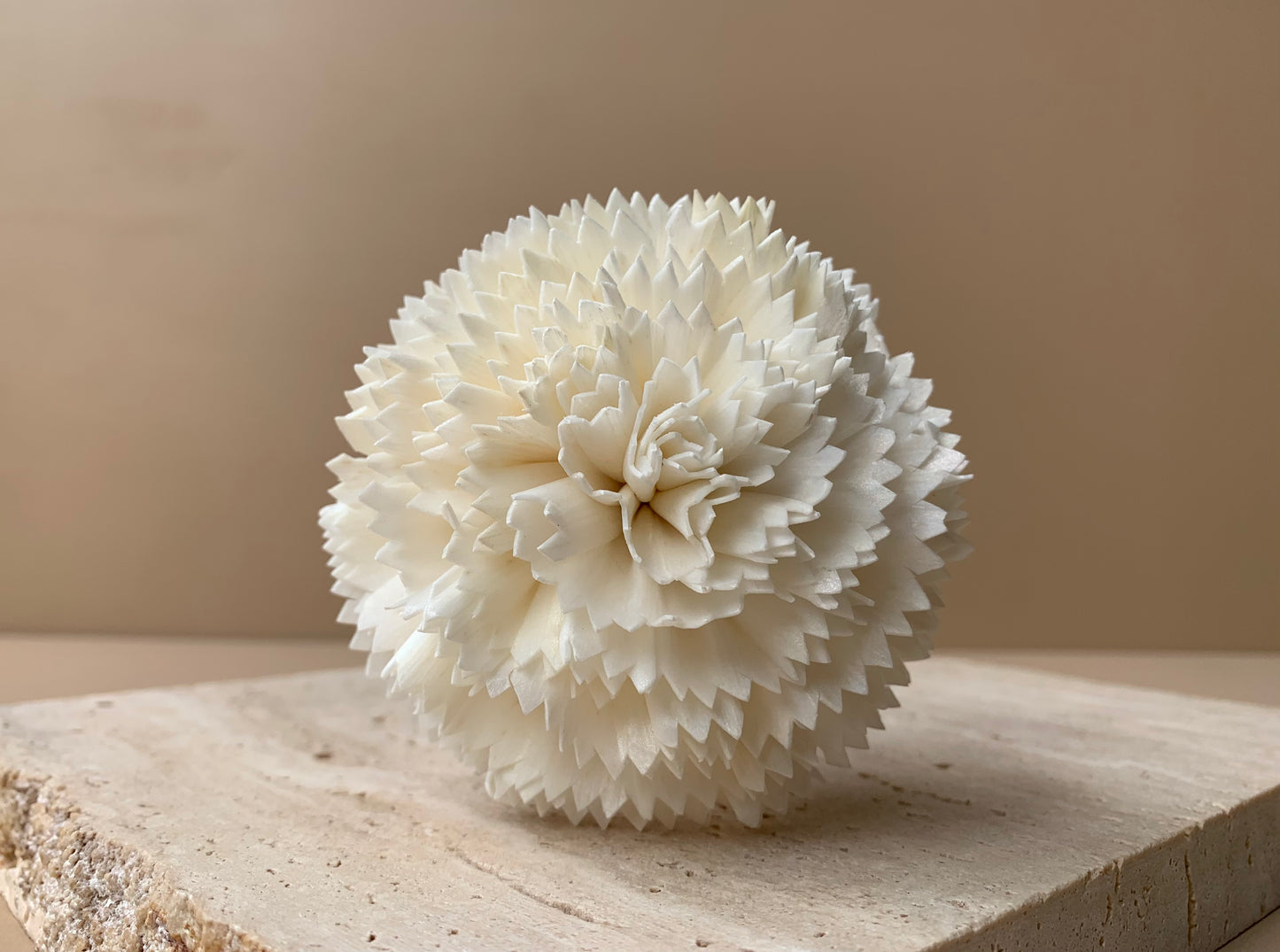 Carnation White