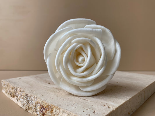 Cottage Rose White