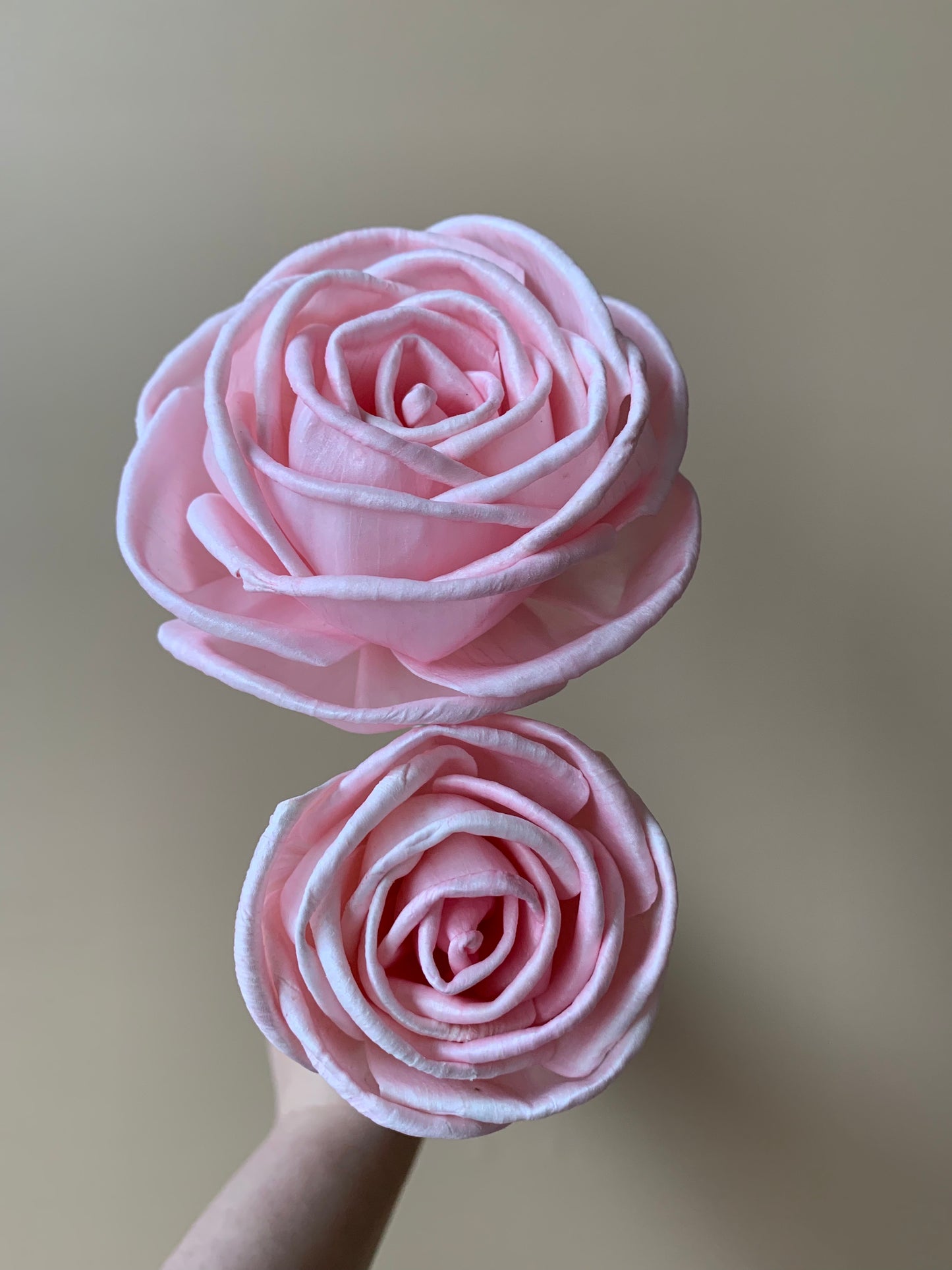 Cottage Rose Soft Pink
