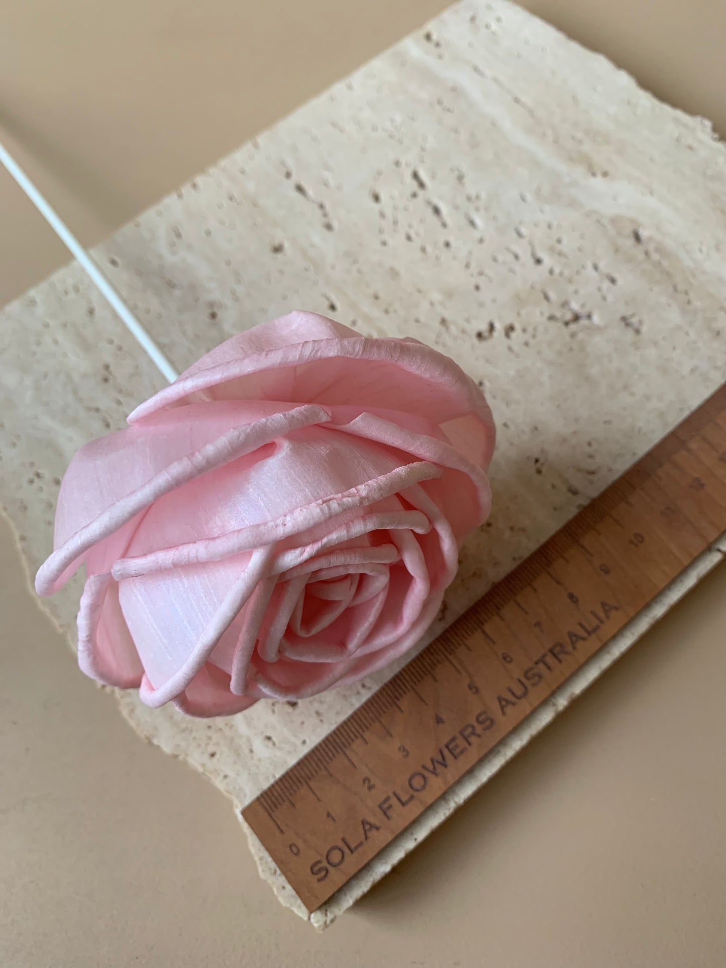 Cottage Rose Soft Pink