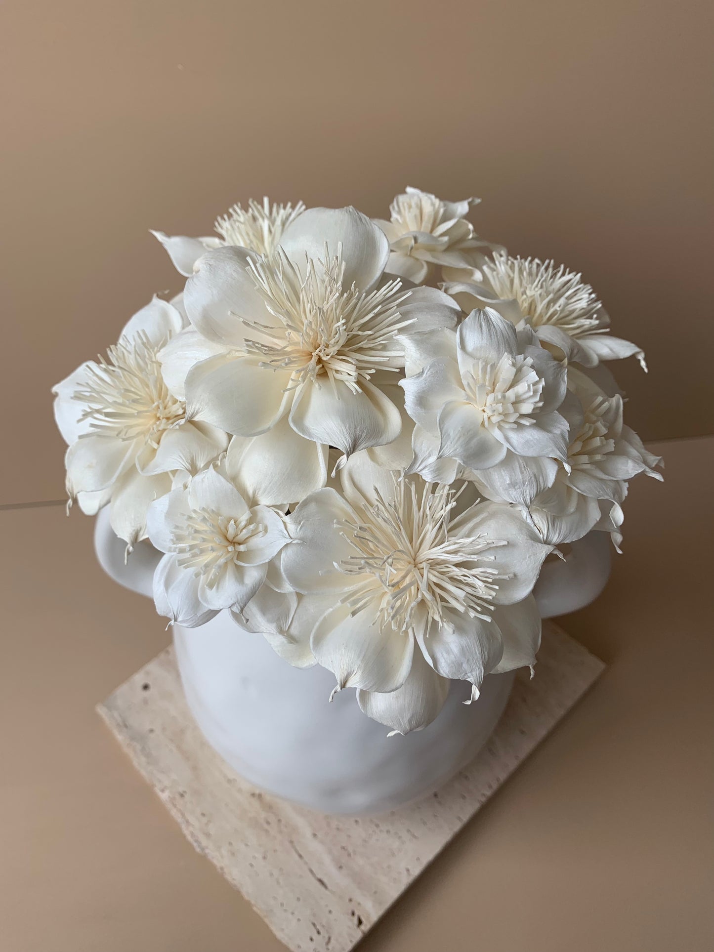 Dahlia with White Pollen