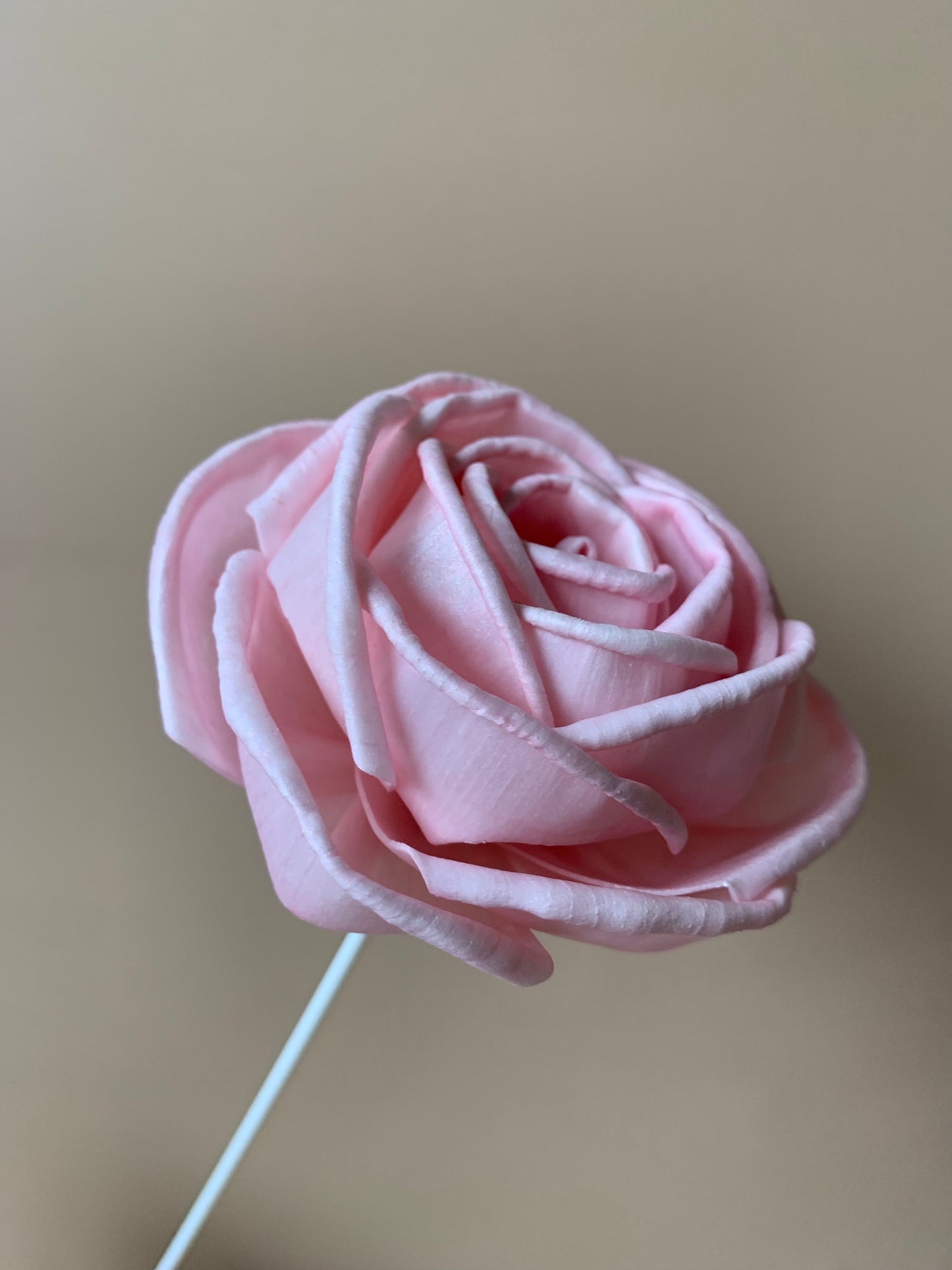 Cottage Rose Soft Pink