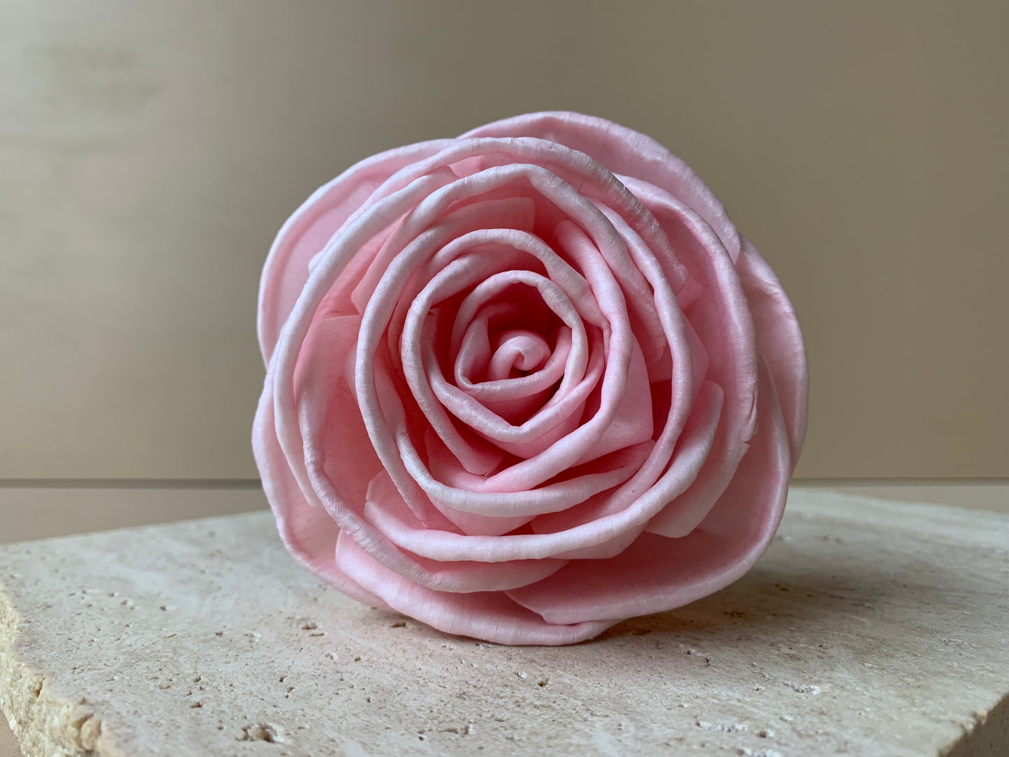 Cottage Rose Soft Pink