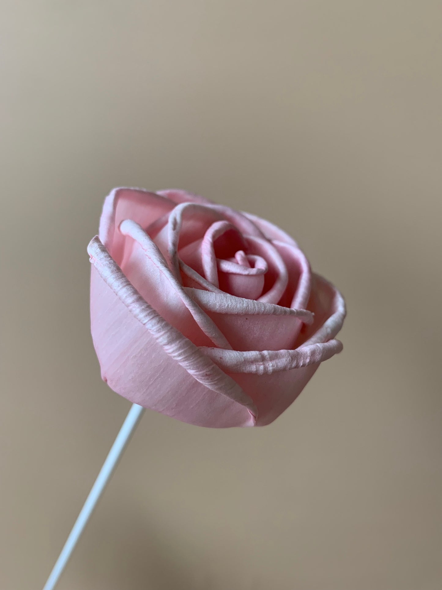 Cottage Rose Soft Pink