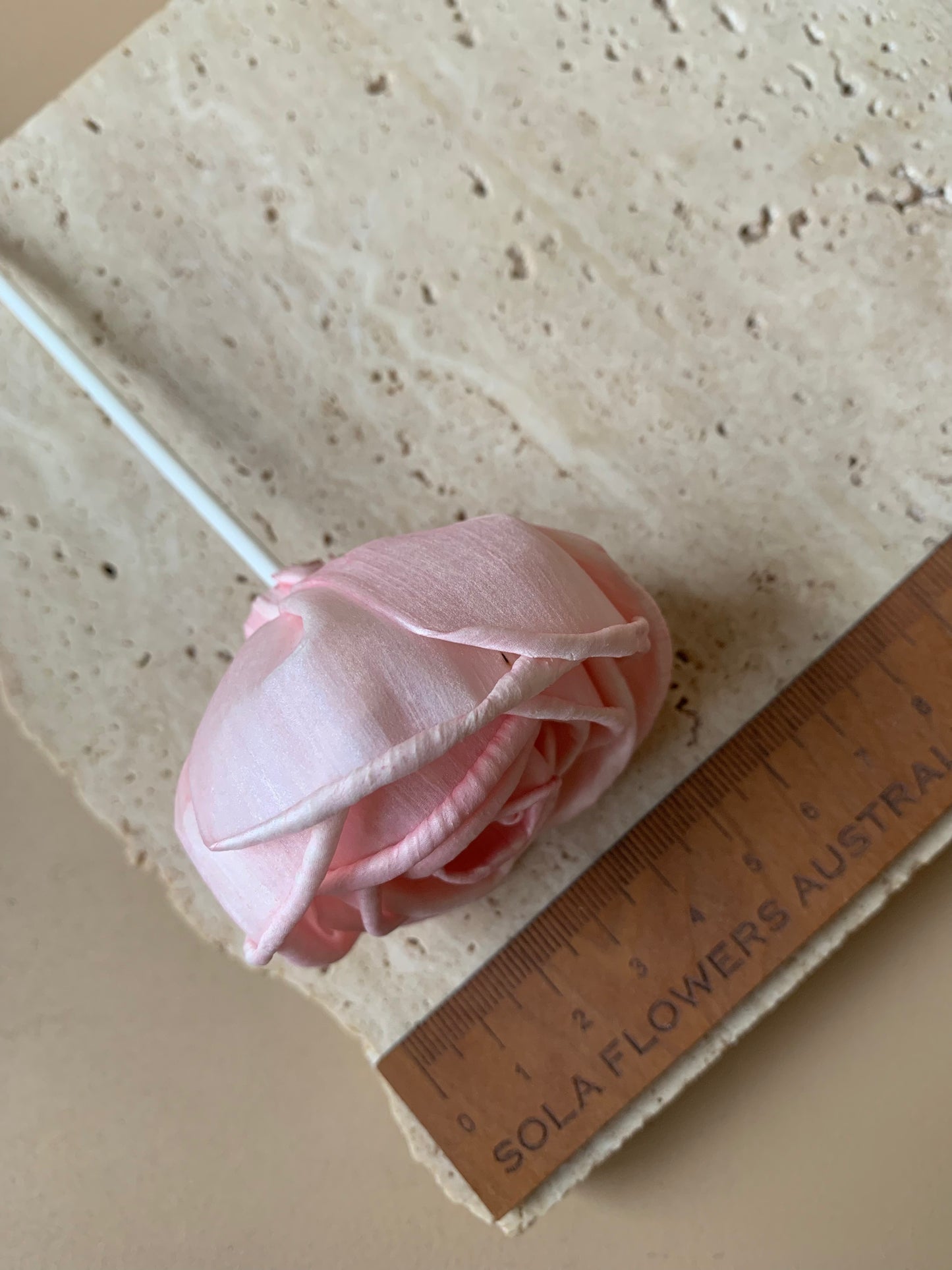 Cottage Rose Soft Pink