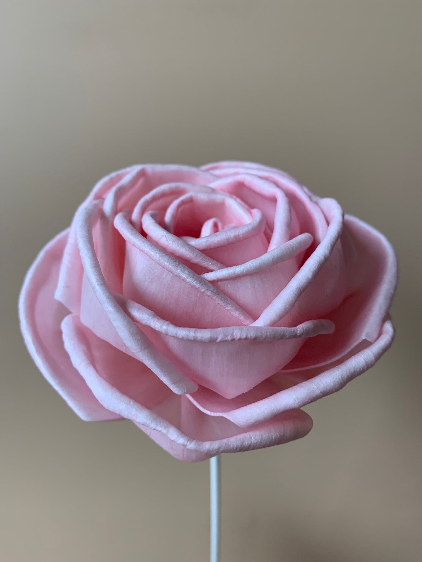 Cottage Rose Soft Pink