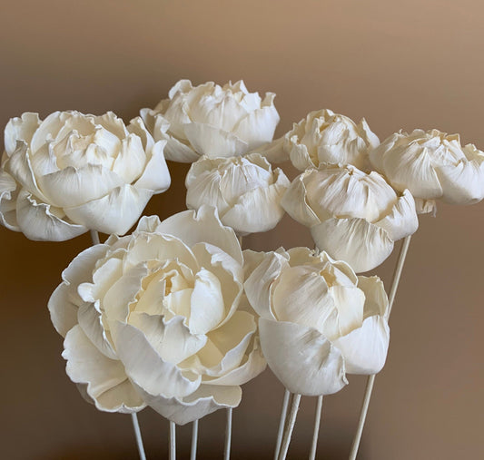 hand crafted white peony dried flowers