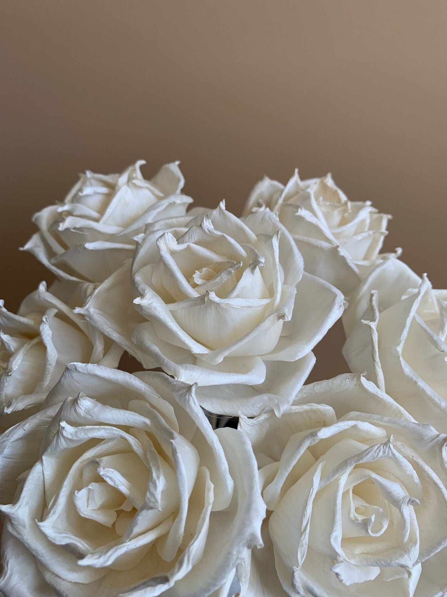 top view white roses arrangement
