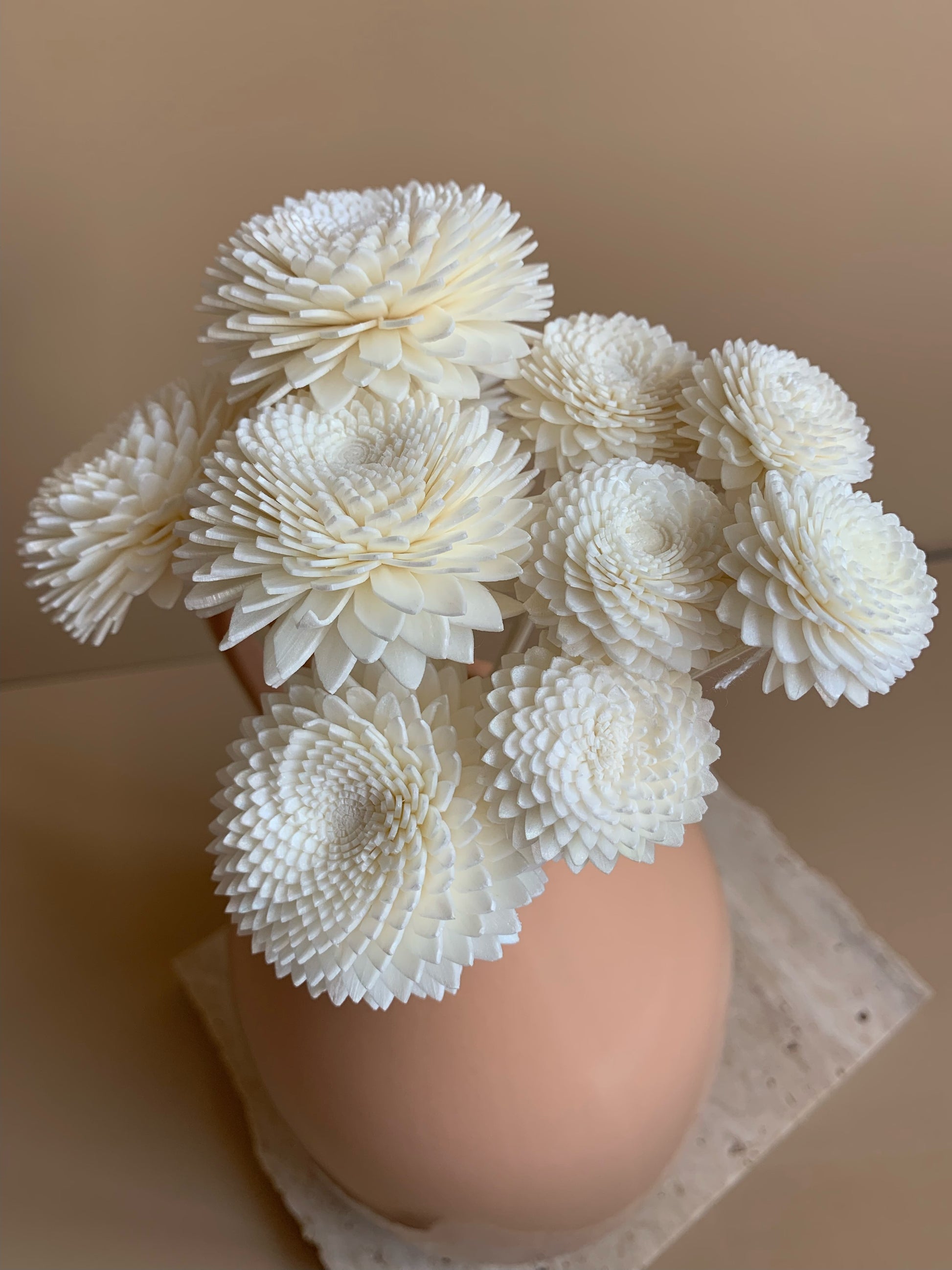 mix of flower sizes white chrysanthemum