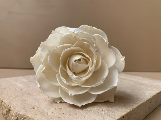 *SALE* Open Lotus