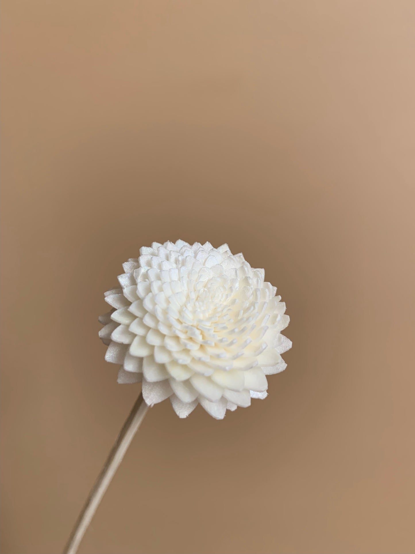hand crafted sola wood white chrysanthemum