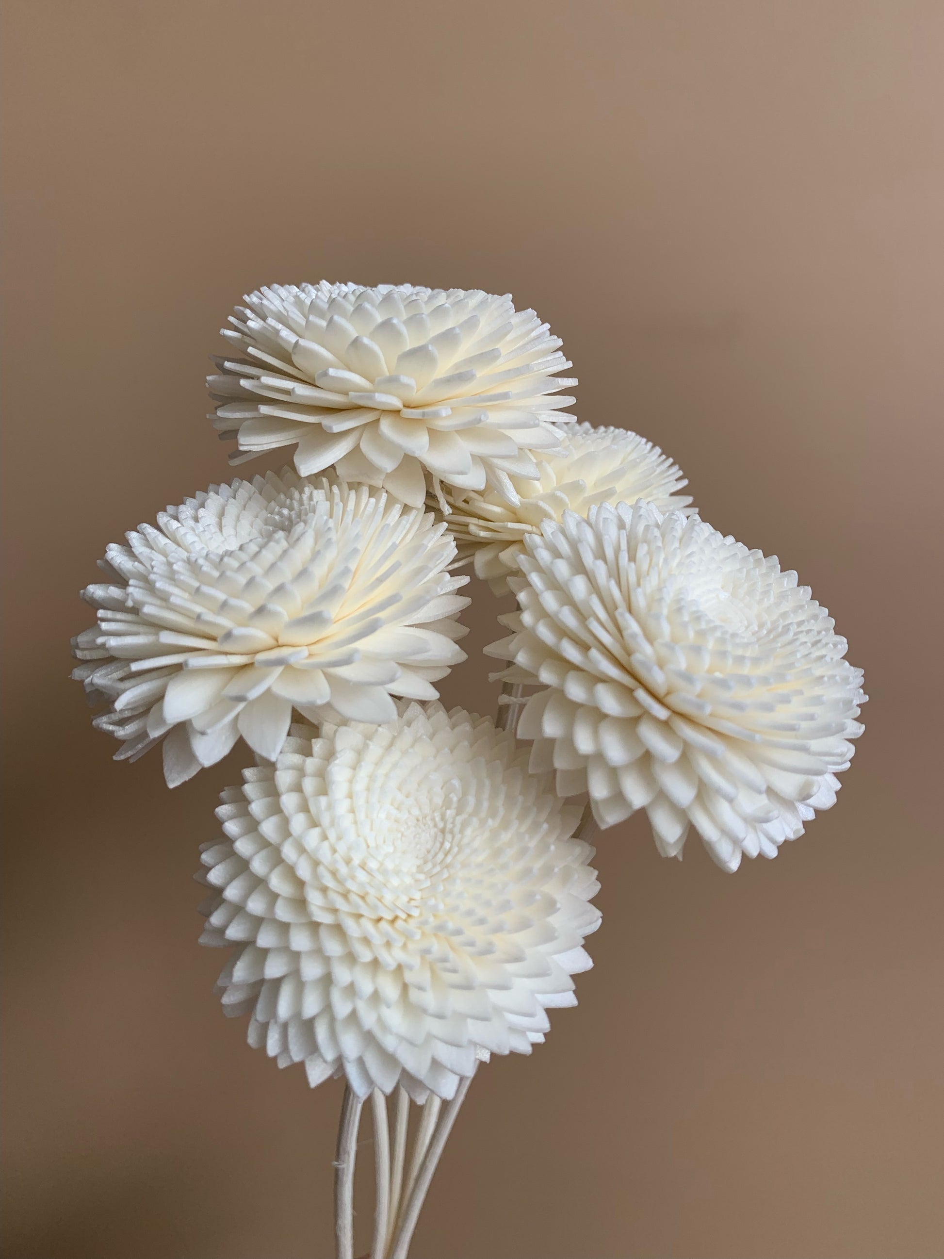 white chrysanthemum bouquet